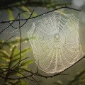 Creating a User-Friendly Contact Form for Your Website Design in Stockport